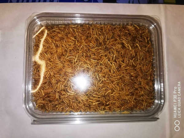 100 gramm Maden getrocknet i  Recy Schale Nagerfutter Schildkröten, Bartagamen, Leguane Koi, Buntkarpfen, Goldfische, Buntbarsche) und Vögel